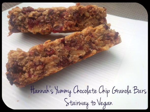 Hannah's Yummy Chocolate Chip Granola Bars